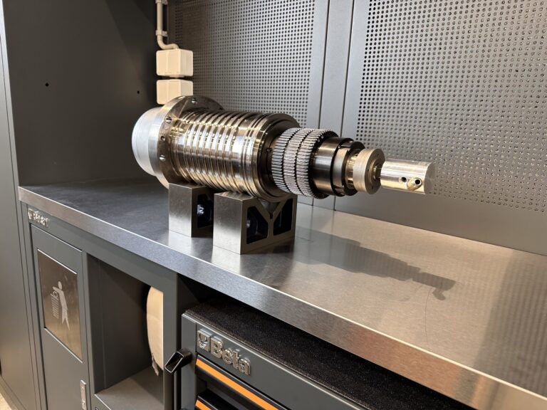 Rigenerazione del mandrino Cells Royal